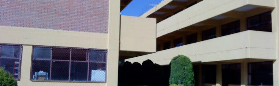 Normal Camilo Arriaga